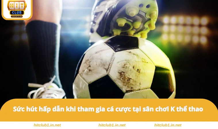 Sức hút hấp dẫn khi tham gia cá cược tại sân chơi K thể thao