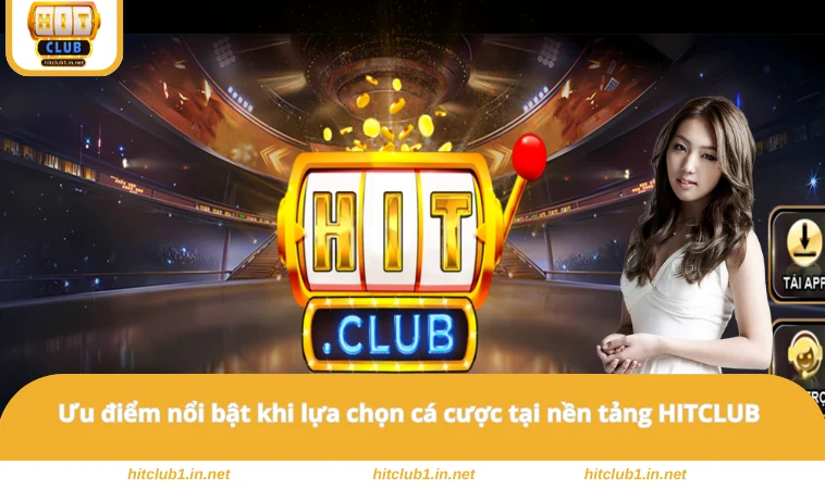 Ưu điểm nổi bật khi lựa chọn cá cược tại HITCLUB